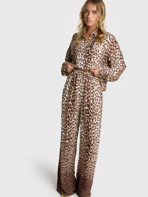 24037_m-2507147131-601-01