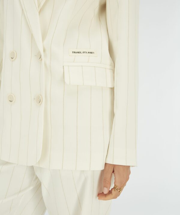 Blazer Michelle Pinstripe Jv-2506-0107