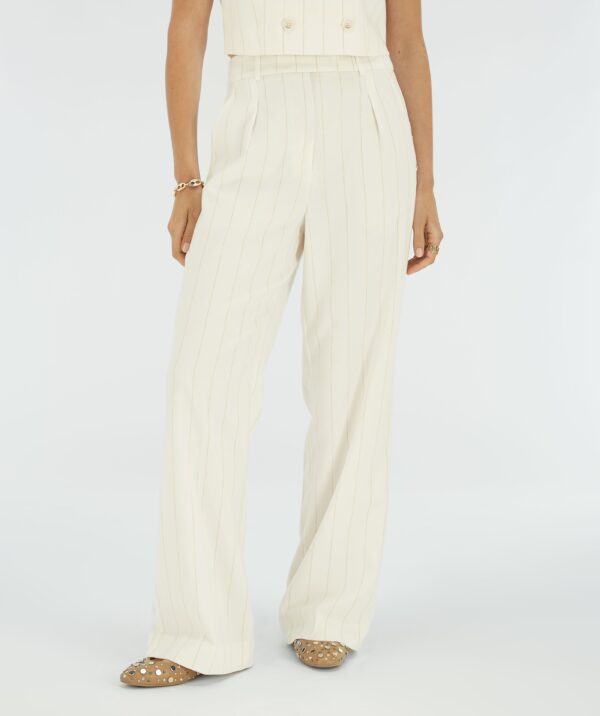 Pantalon Mies Pinstripe Jv-2506-0606