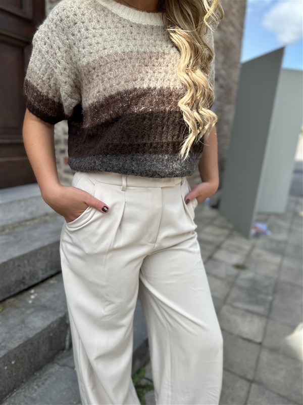 Classic Pants Vs8126 Beige
