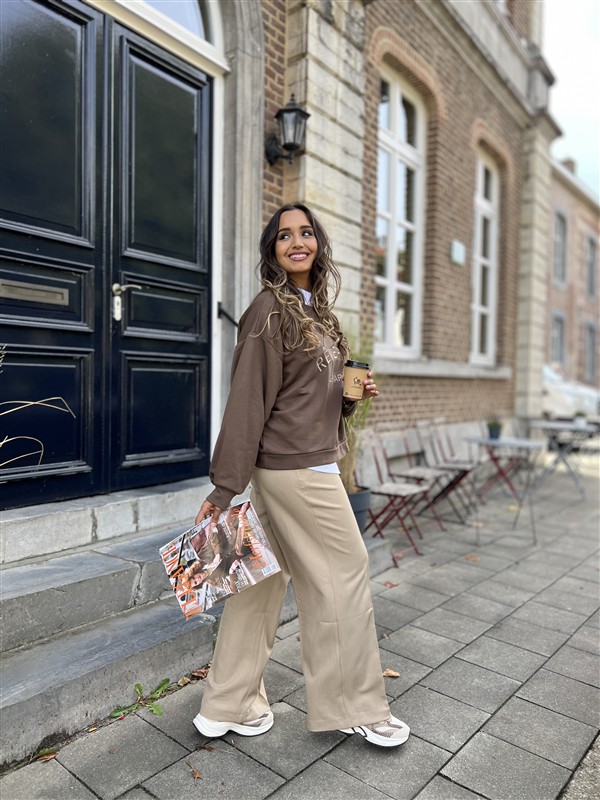 Classic Pants Vs8126 Taupe