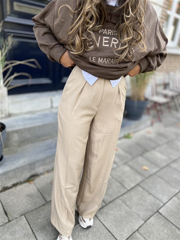 Classic Pants Vs8126 Taupe