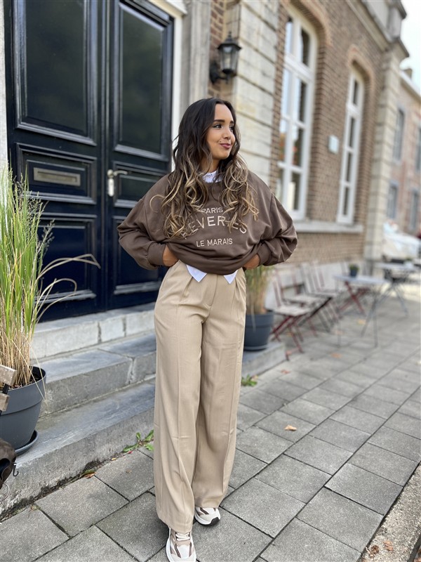 Classic Pants Vs8126 Taupe