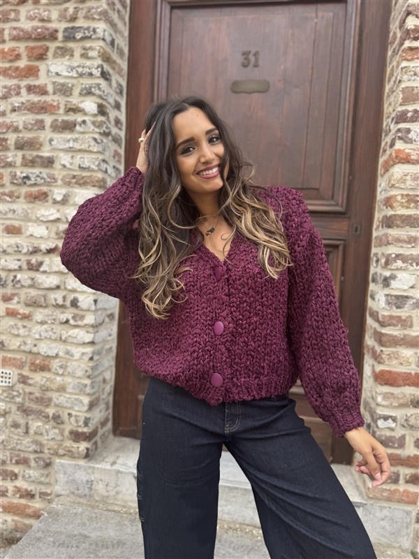 Braided Vest Zm66001 Buttons Burgundy