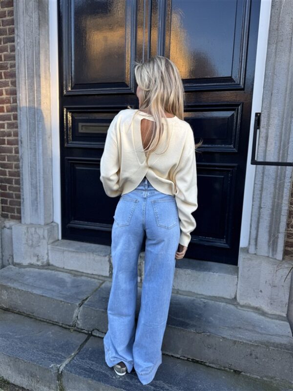 Jeans 8828 Palazoo Fit