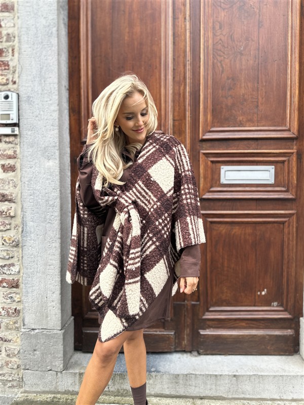 Cape Sjaal Print Ruit Bruin