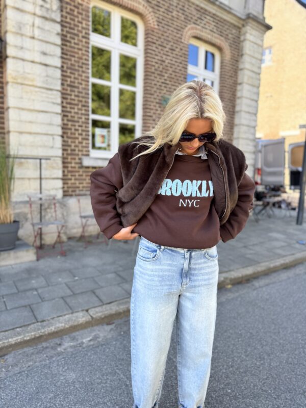 Sweater Brooklynn Hemelsblauw Bruin