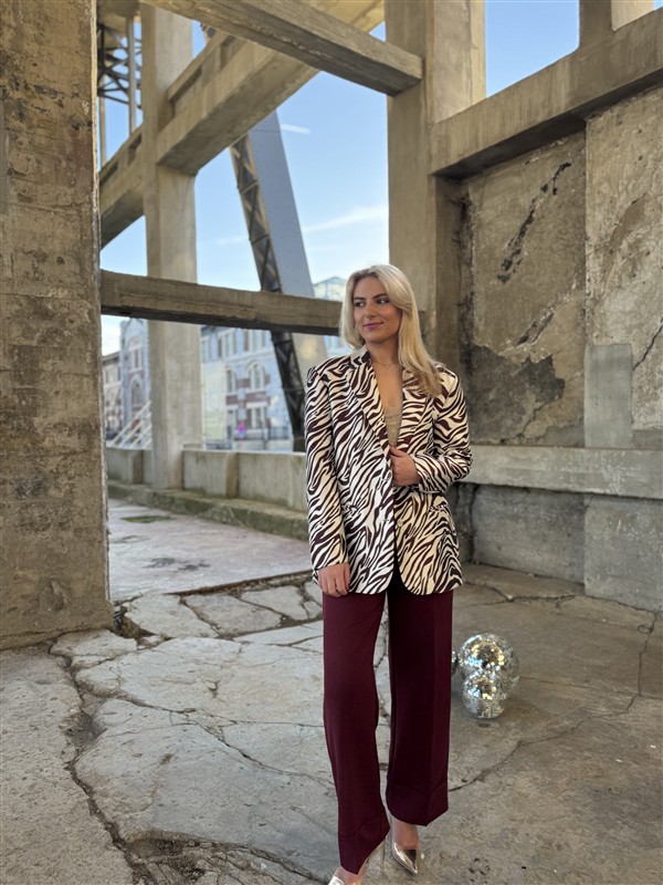 Classic Pants Vs8123 Bordeaux