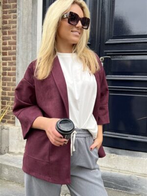 Suedine Vest Open Met Zakken Bord 23154