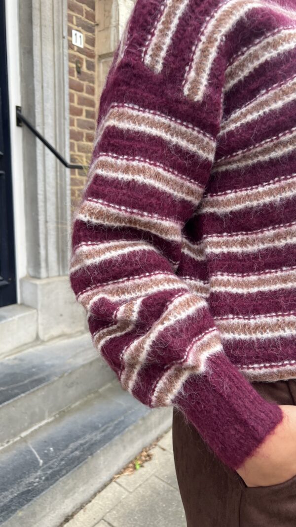 Trui Yp1821 Stripes Burgundy