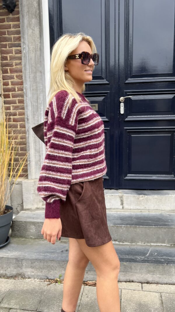Trui Yp1821 Stripes Burgundy