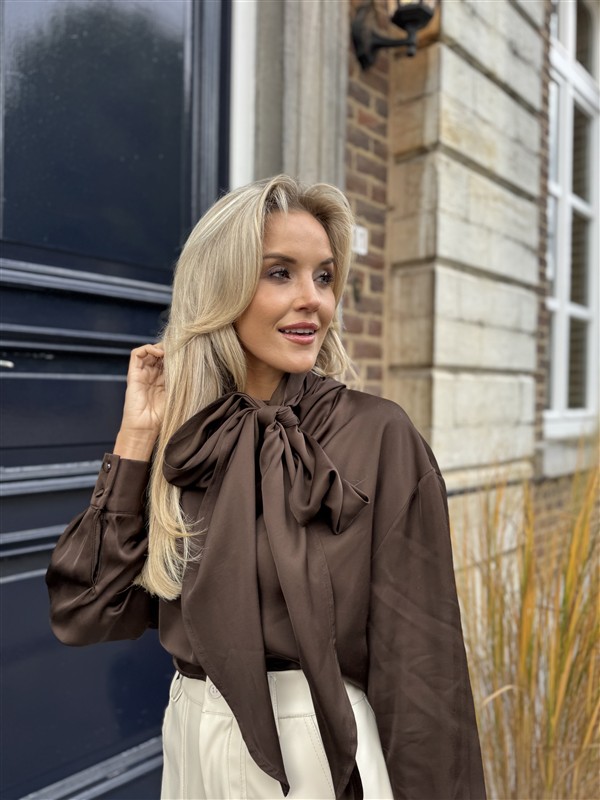 Bow Blouse Ld3497 Bruin