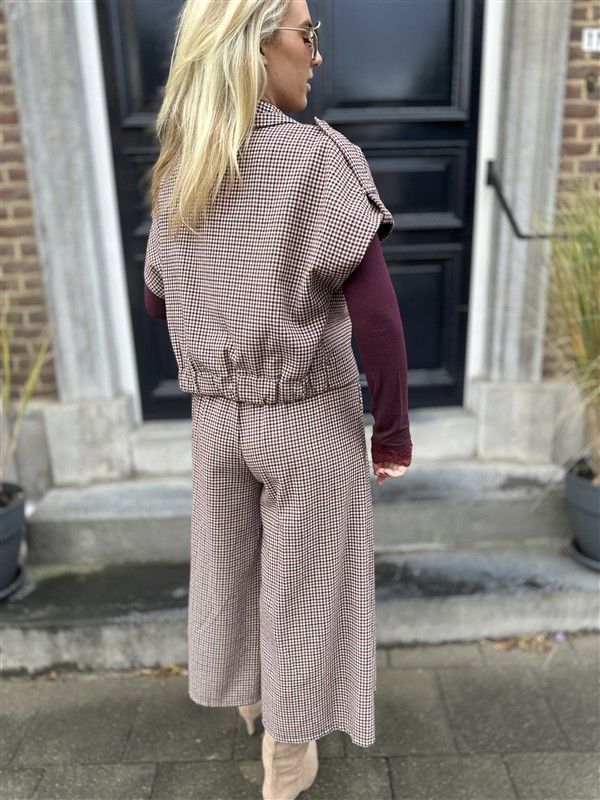 Broek Pdp Bordeaux Met Riem