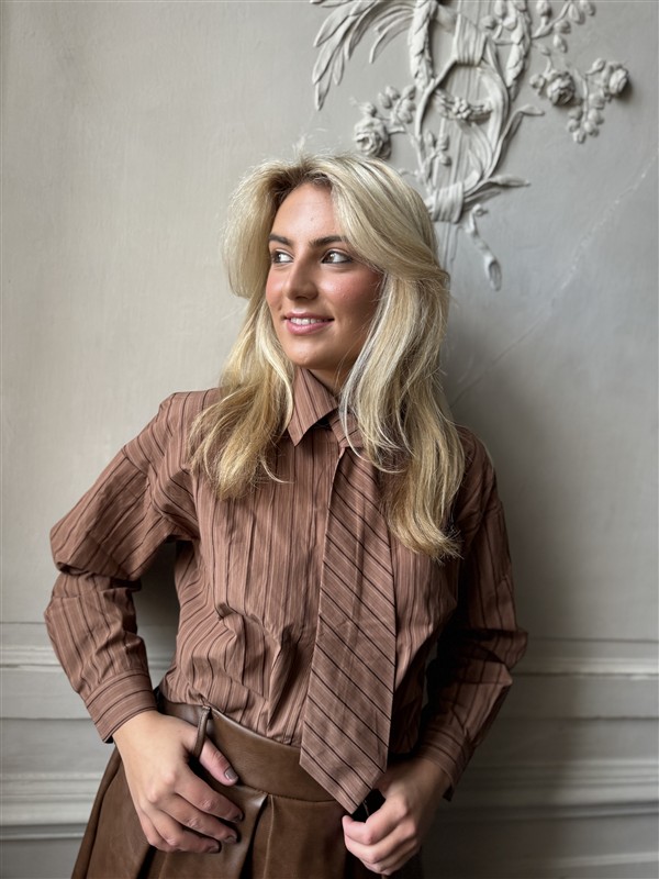 Hemd Ch3561 Cravat Bruin