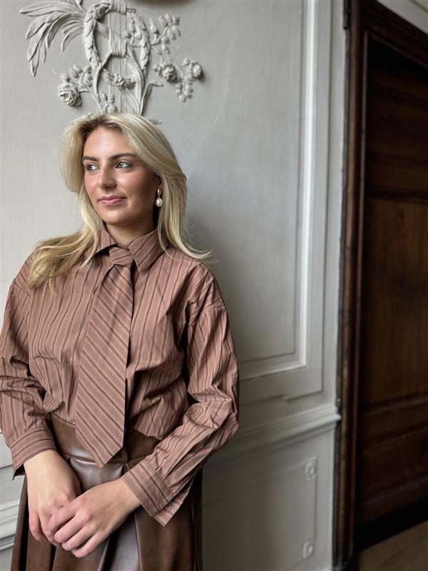 Hemd Ch3561 Cravat Bruin