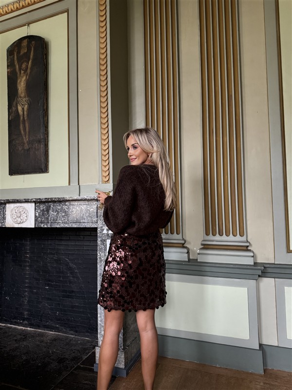 Rokje Zp7779 Paillet Bruin