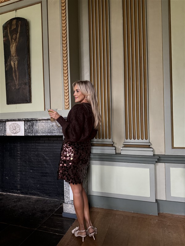 Rokje Zp7779 Paillet Bruin