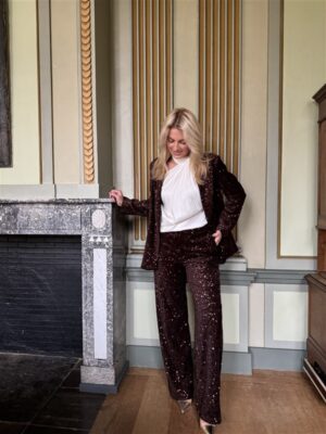 Pantalon P9999 Paillet Bruin