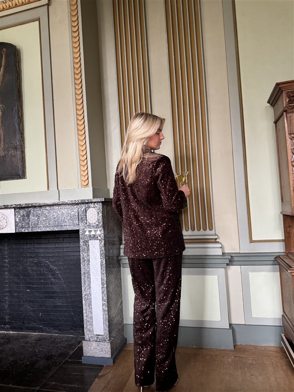 Pantalon P9999 Paillet Bruin