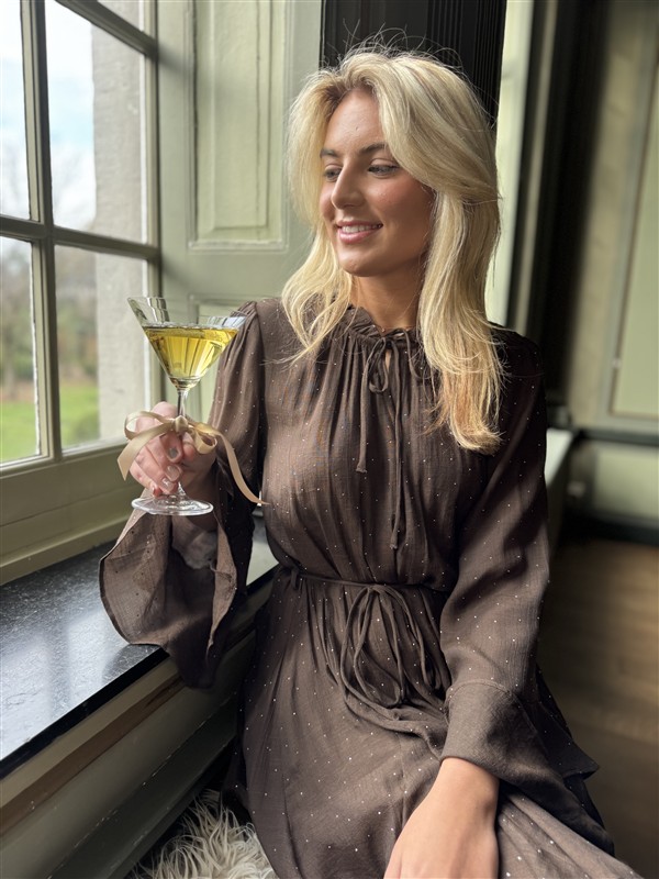 Jurk Ap2754 Mini Studs Bruin