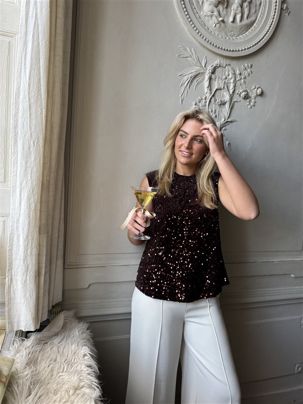 Top 3580 Paillet Big Bow Back Bruin