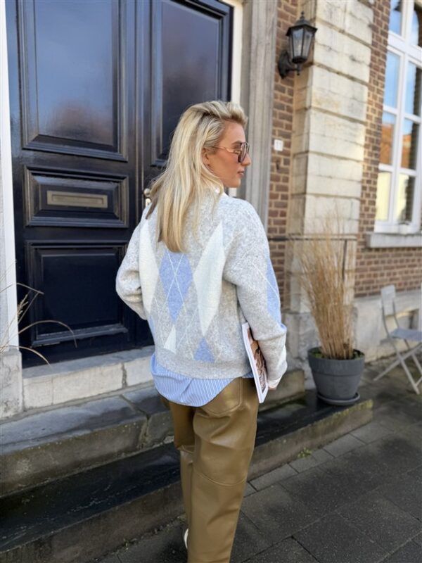 Knitvest Yp1972 Ruit Grijs Geel