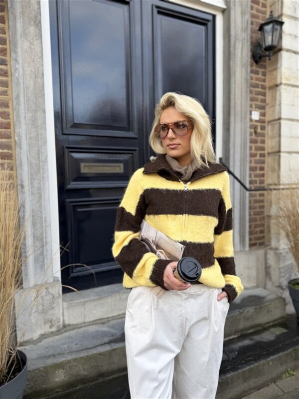 Knitvest Yp1934 Gestreept Bruin Geel