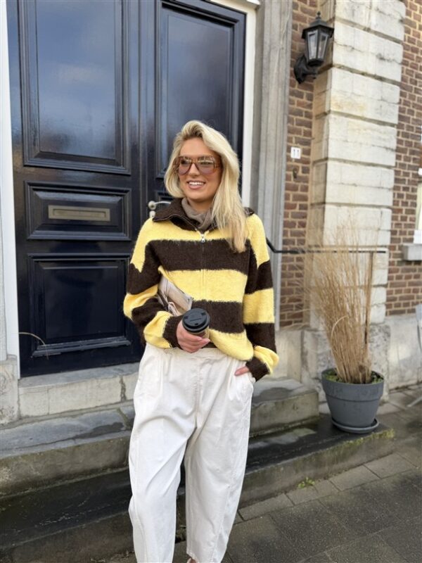 Knitvest Yp1934 Gestreept Bruin Geel
