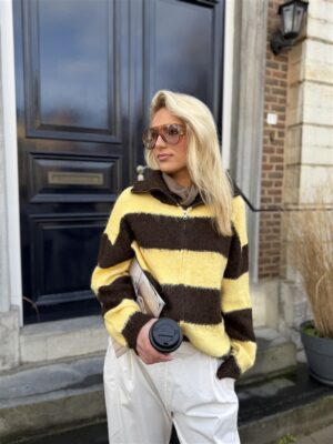 Knitvest Yp1934 Gestreept Bruin Geel