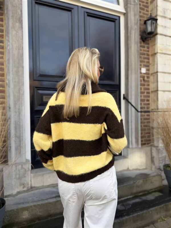 Knitvest Yp1934 Gestreept Bruin Geel