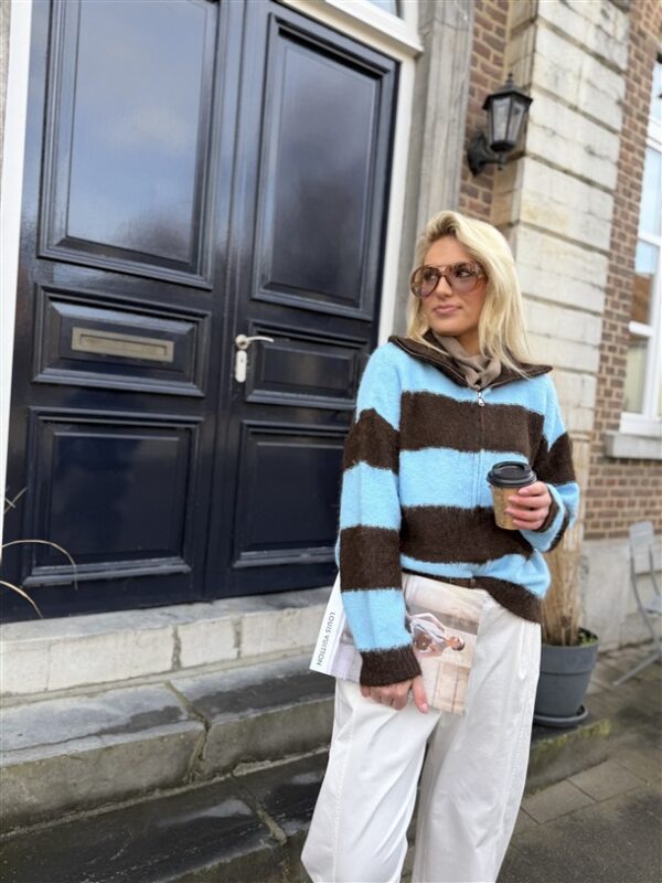 Knitvest Yp19354 Gestreept Bruin Blauw