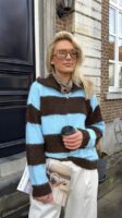 Knitvest Yp19354 Gestreept Bruin Blauw