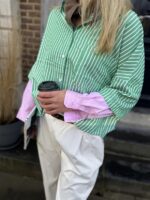 Hemd Stripes W5920 2 Color Sleeve Groen
