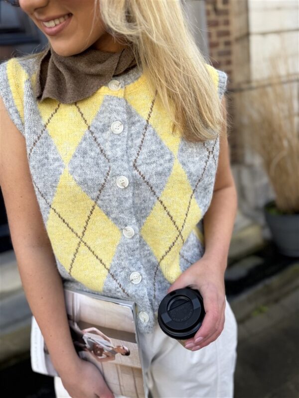 Gilet Yp1974 Ruit Geel Grijs