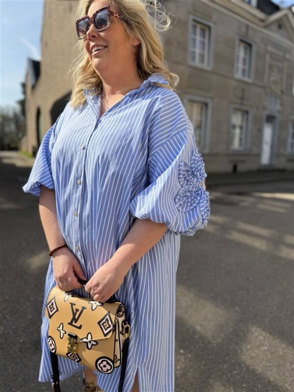 Hemdj Gestreept Pofmouw 3d Broderie Flow