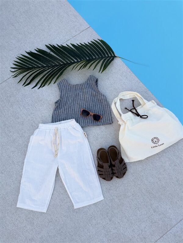 Cotton Chino Pants Wit