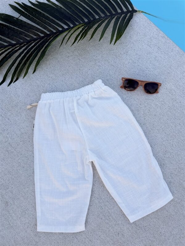 Cotton Chino Pants Wit