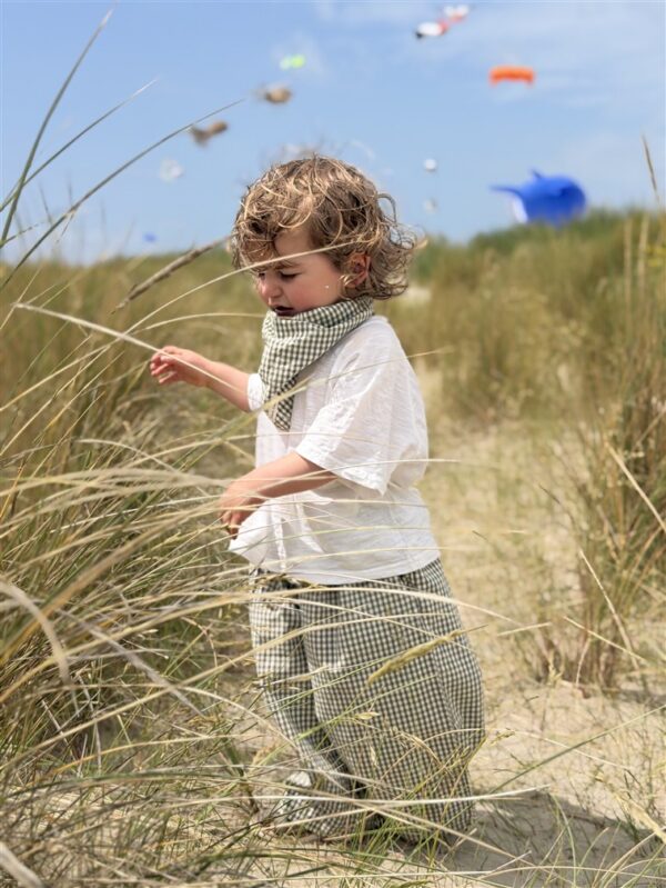 Ll Little Muse Pants Check Green