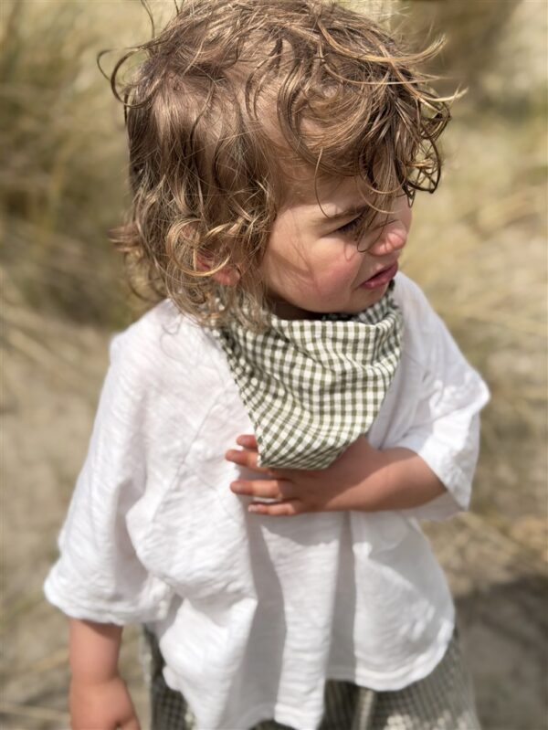 Ll Muse Check Scarf Green