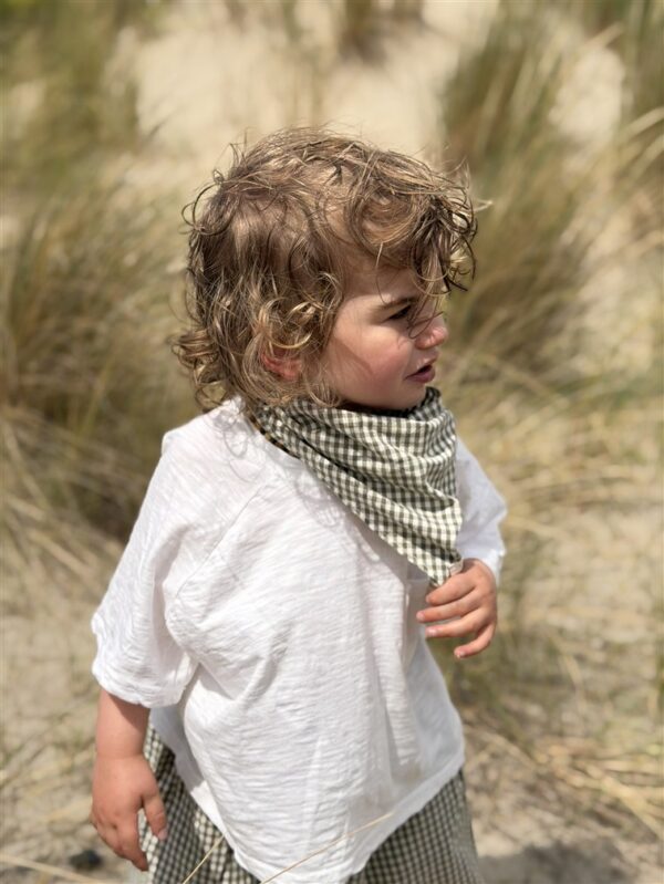 Ll Muse Check Scarf Green