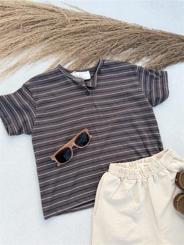 LITTLE LEAN Louie Tee Striped Antraciet Brown
