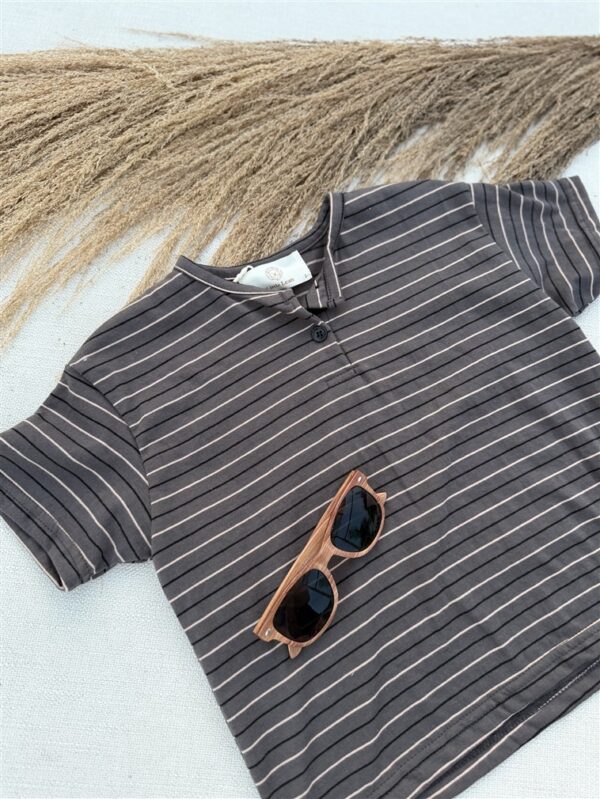 LITTLE LEAN Louie Tee Striped Antraciet Brown