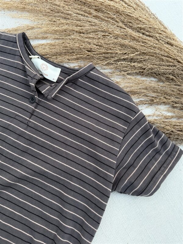 LITTLE LEAN Louie Tee Striped Antraciet Brown