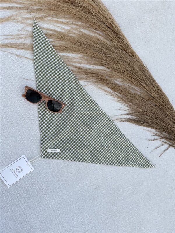 Ll Muse Check Scarf Green