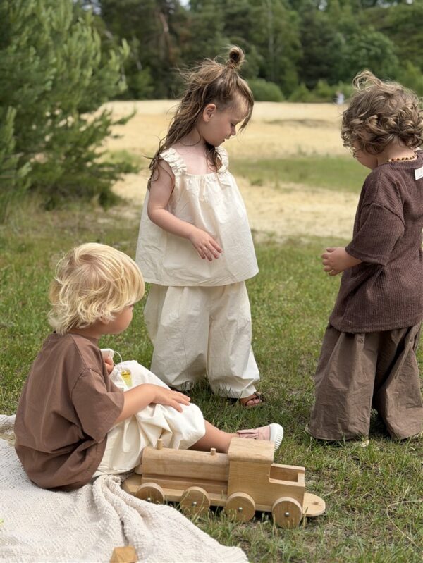 Ll Little Nomad Pants Wide Brown