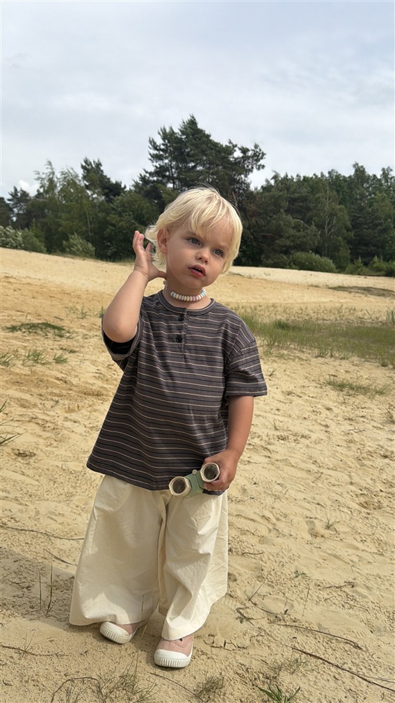 LITTLE LEAN Louie Tee Striped Antraciet Brown