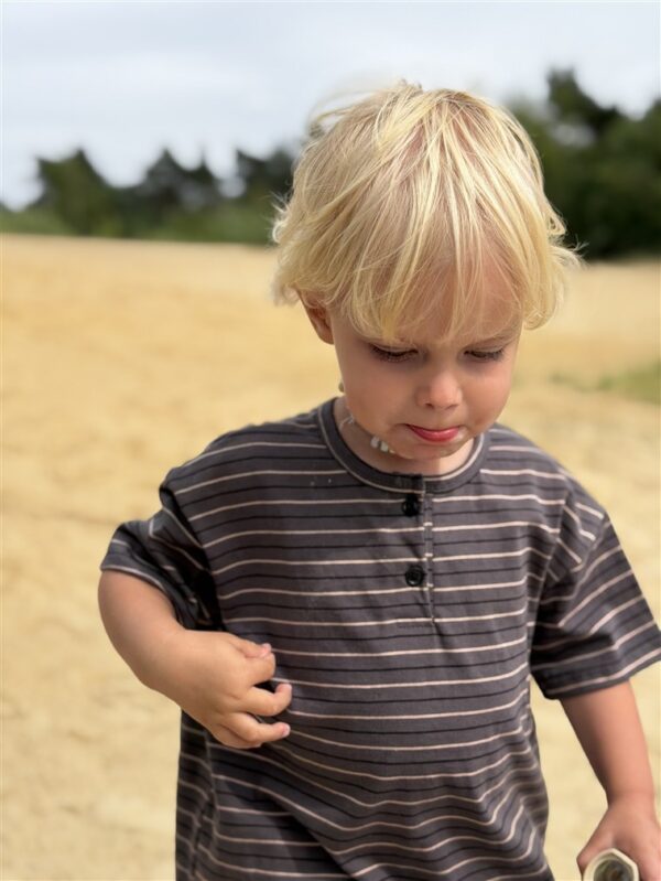 LITTLE LEAN Louie Tee Striped Antraciet Brown